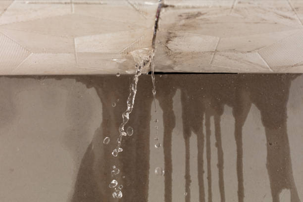 Professional Structural Drying technician working in Whitt, TX